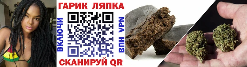 ГАШ Premium  Лобня 