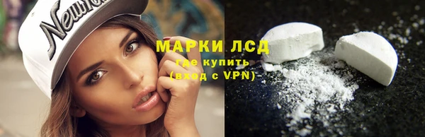 прущие грибы Арсеньев