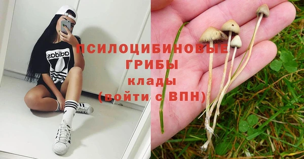 прущая мука Балахна