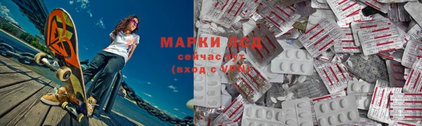 прущие грибы Арсеньев